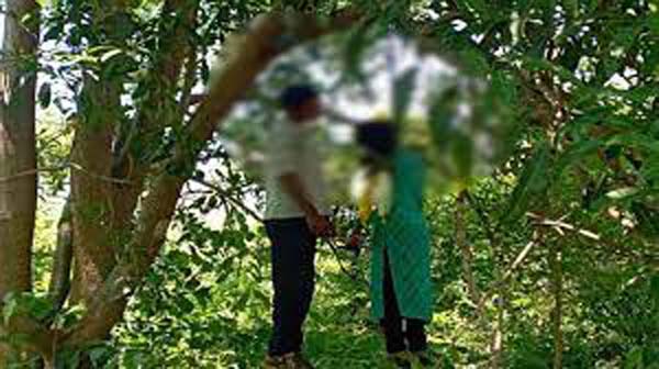 प्रेमी जोड़े ने एक ही पेड़ पर फांसी लगाकर की आत्महत्या, इलाके में सनसनी