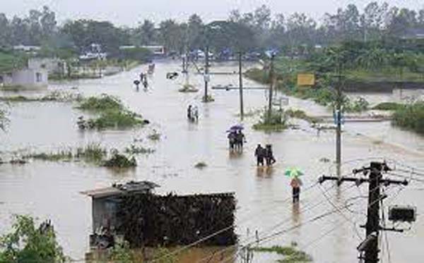 असम में बाढ़ से लगातार बिगड़ते जा रहे हैं हालात, 31 लाख लोग प्रभावित, अब तक 62 मौत