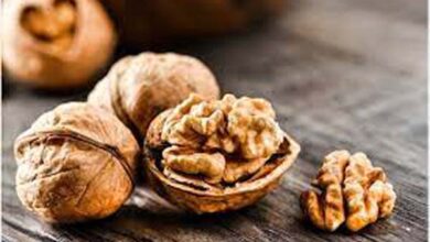 Walnuts Benefits: डेली 2 अखरोट खाने से दिमाग होगा तेज, भूलने की समस्या भी होगी दूर