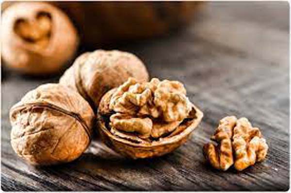 Walnuts Benefits: डेली 2 अखरोट खाने से दिमाग होगा तेज, भूलने की समस्या भी होगी दूर